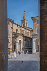 urbino